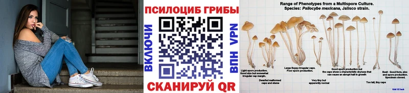 продажа наркотиков Волгодонск ссылка на мегу ONION Галлюциногенные грибы GOLDEN TEACHER
