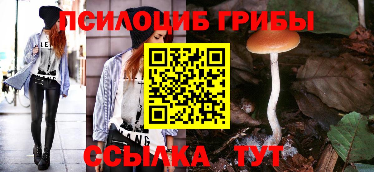 Галлюциногенные грибы прущие грибы Волгодонск