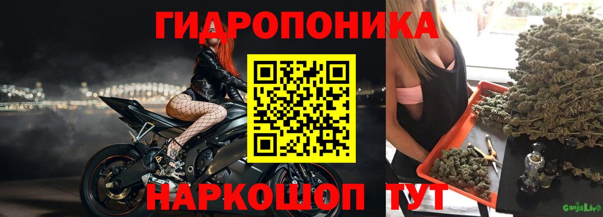 Волгодонск  Канабис гибрид  Канабис White Widow  Бошки Шишки гибрид  Вход с VPN 
